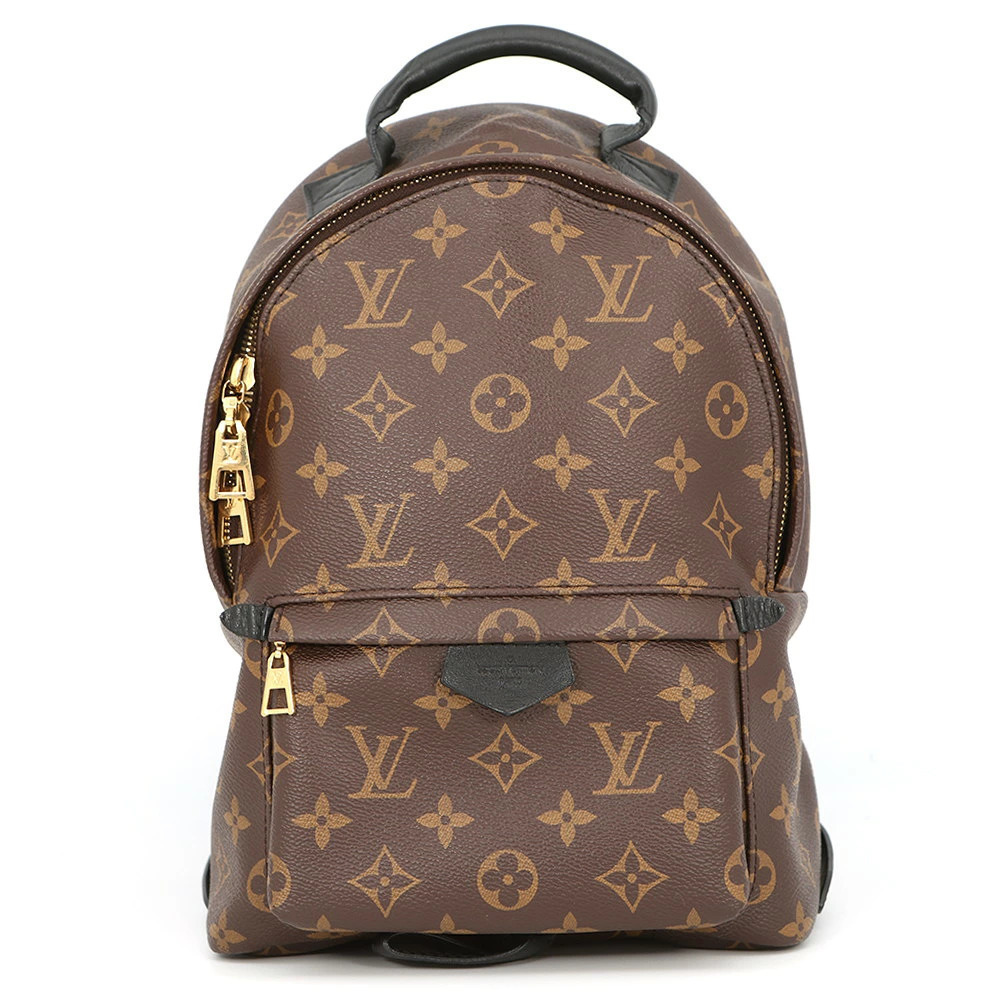 Louis Vuitton Monogram Palm Springs Backpack Bag
